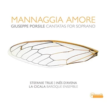 image of La Cicala; Ines D?Avena; Stefanie True - Mannaggia Amore CD