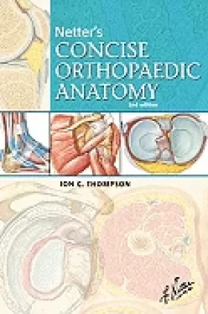 Image of netters concise orthopaedic anatomy