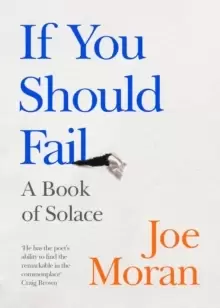 Image of If You Should Fail : A Book of Solace