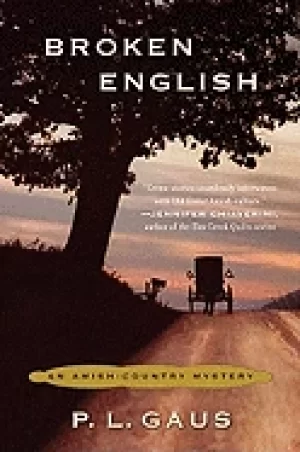 Image of broken english by gaus paul l oct 26 2010 paperback