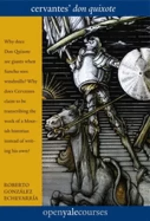 Image of cervantes don quixote