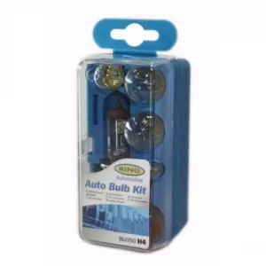 Ring H4 Mini Auto Bulb Kit