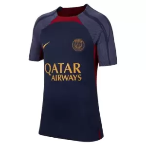Image of Nike Paris Saint Germain Stripe Top 2023 2024 Juniors - Blue