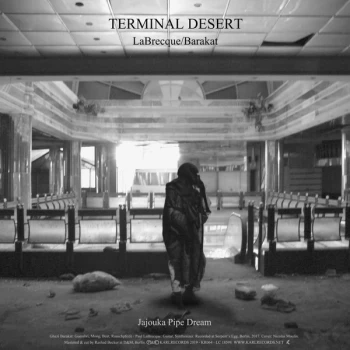 Image of LaBrecque & Barakat - Terminal Desert Vinyl