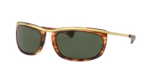 Image of Ray-Ban Sunglasses RB2319 954/31