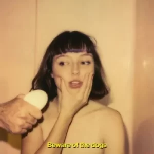 Image of Beware of the Dogs by Stella Donnelly CD Album