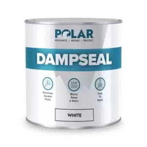 image of Polar Damp Seal - White Anti Damp Paint 1L