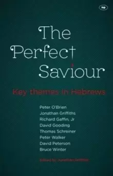 Image of The Perfect Saviour