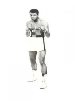 Image of More Than a Champion by Jan Philipp Reemtsma Paperback