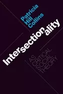 Image of intersectionality as critical social theory