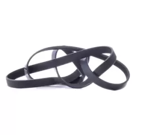 Image of RIDEX V-ribbed belt MERCEDES-BENZ,FORD,RENAULT 305P0410 K05184442AC,1011614,1129745 1C1Q6C301CB,6788621,6788622,88WF6C301H1A,88WF6C301H2A,K05184442AC