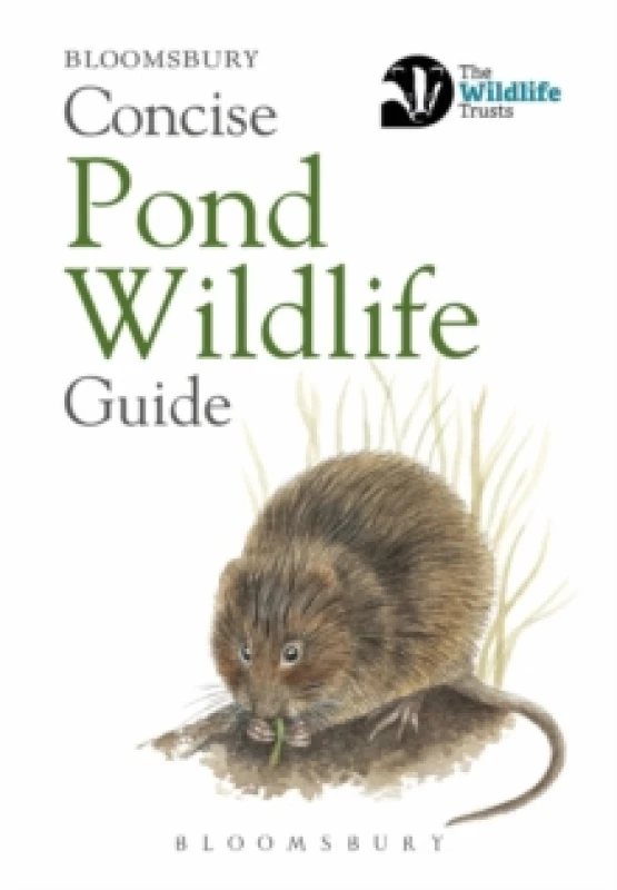 Image of Concise Pond Wildlife Guide Paperback / softback