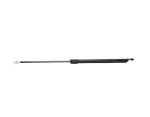 Image of RIDEX Tailgate strut HONDA 219G0543 74820S50G01