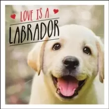 Image of Love is a Labrador : A Lab-Tastic Celebration of the World's Favourite Dog