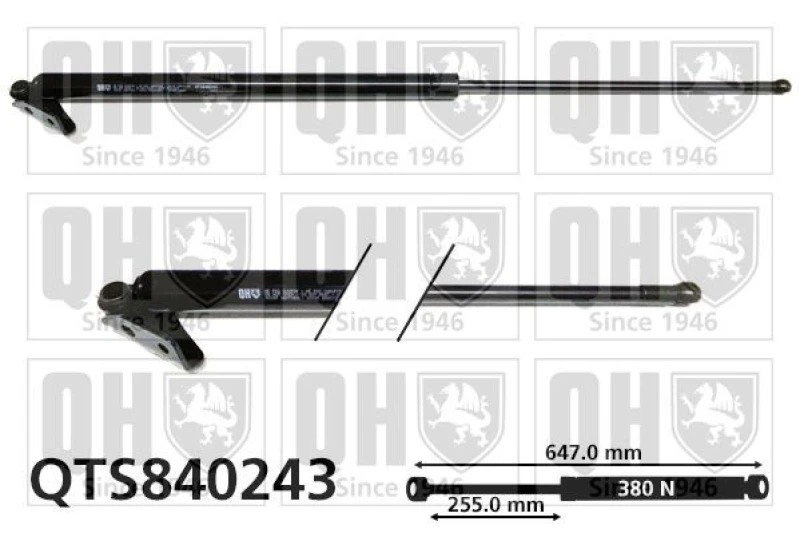 Image of QUINTON HAZELL Tailgate strut QUINTON HAZELL QTS840243