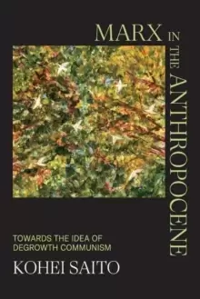 Image of Marx in the Anthropocene : Towards the Idea of Degrowth Communism
