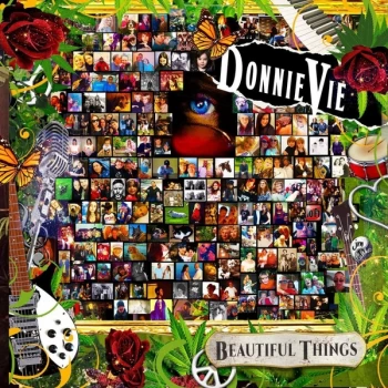 Image of Donnie Vie - Beautiful Things CD