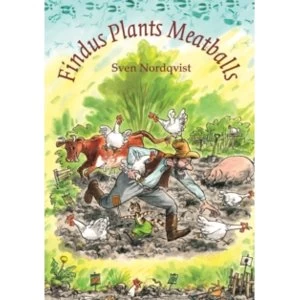 Image of Findus Plants Meatballs