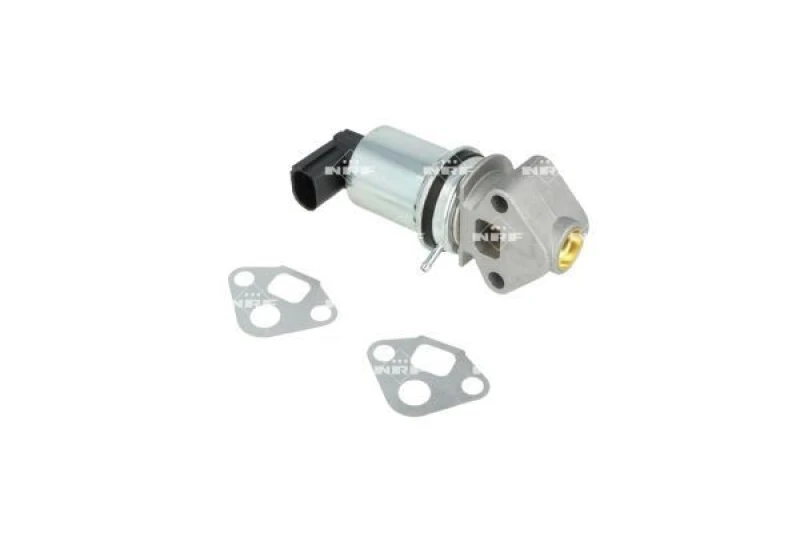 Image of NRF 48662 EGR valve EASY FIT with gaskets/seals EGR Valve (1145)