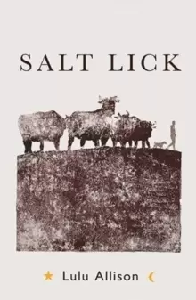 Image of Salt Lick : Longlisted for the Womens Prize for Fiction 2022