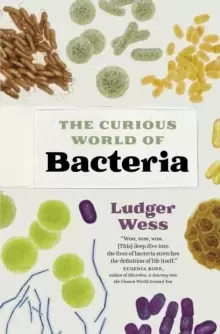 Image of The Curious World of Bacteria