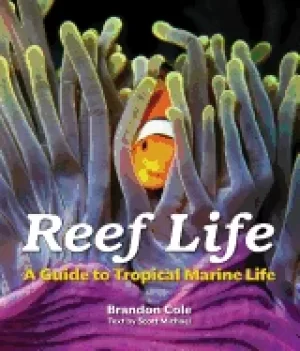 Image of reef life a guide to tropical marine life