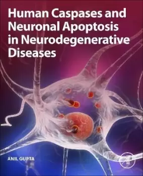 Image of Human Caspases and Neuronal Apoptosis in by Anil Gupta