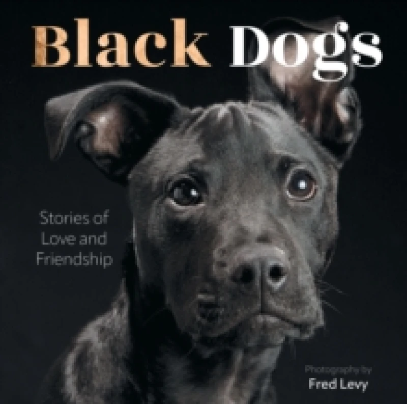 Image of Black Dogs. Hardback. By Fred Levy Books