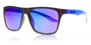 Puma Fitzroy Sunglasses Tortoise 003 56mm