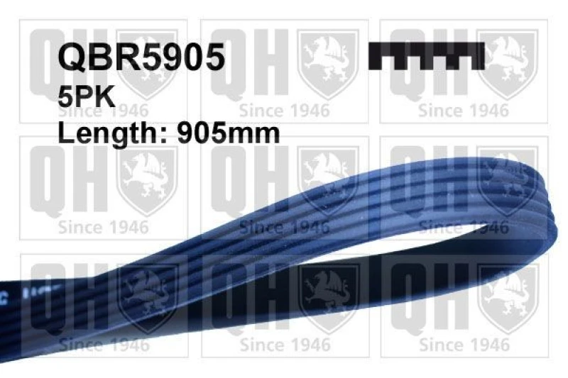 Image of QUINTON HAZELL Serpentine belt QUINTON HAZELL QBR5905