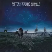 Image of Pattern-Seeking Animals