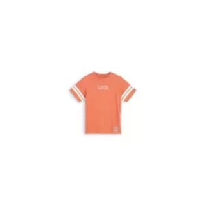Image of Levis Graphic Jet T Shirt - Brown