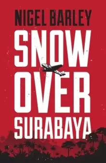Image of Snow over Surabaya
