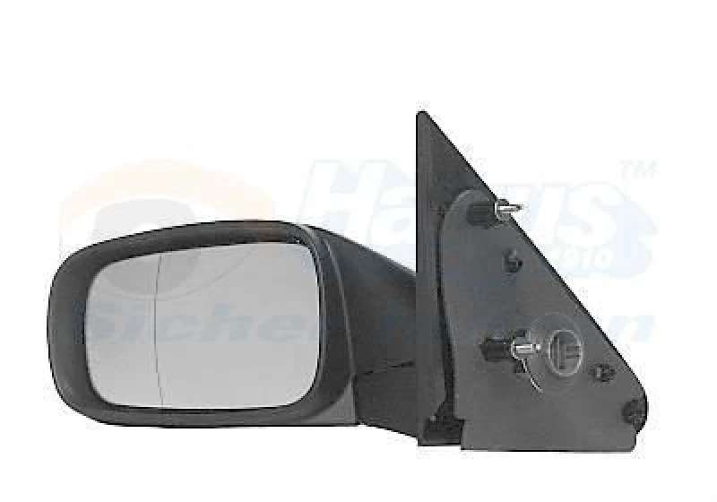 Image of VAN WEZEL Wing mirror VAN WEZEL 4348820