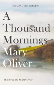 Image of A Thousand Mornings
