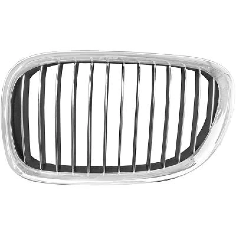 Image of Radiator Grille DIEDERICHS 1244041