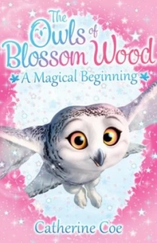 Image of A Magical Beginning by Catherine Coe Paperback