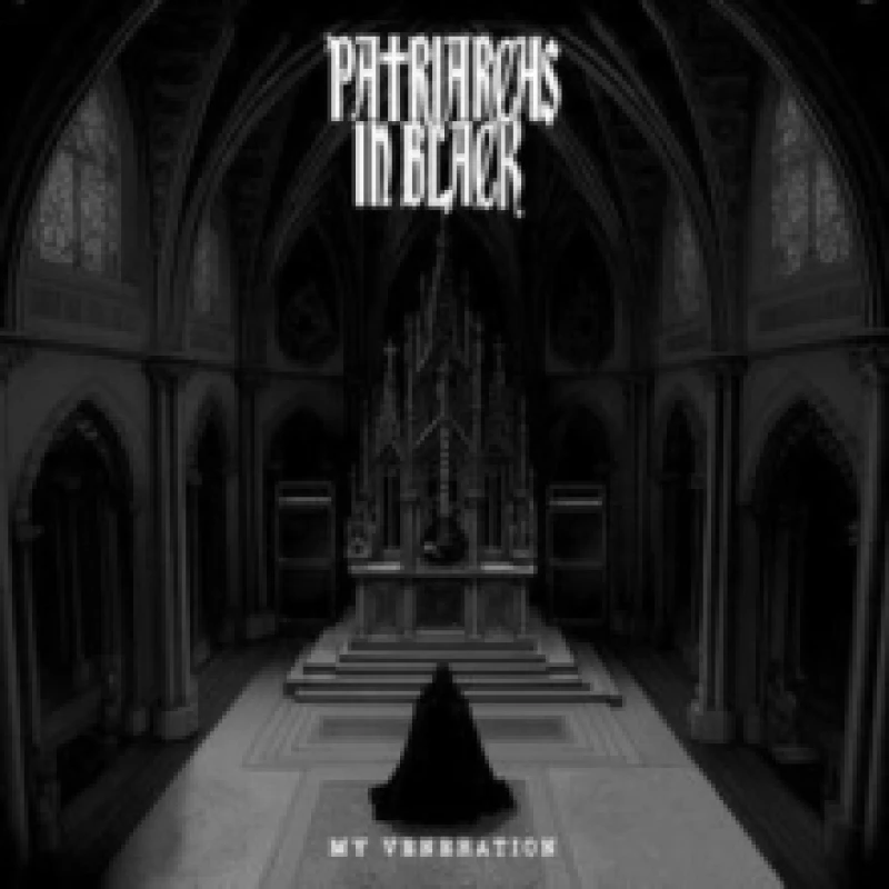 Image of My veneration Vinyl