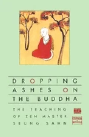 Image of dropping ashes on the buddha the teachings of zen master seung sahn