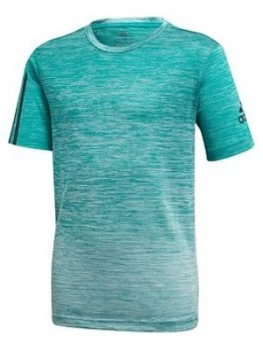 Image of Boys, adidas Yb Tr Grad Tee, Green, Size 11-12 Years
