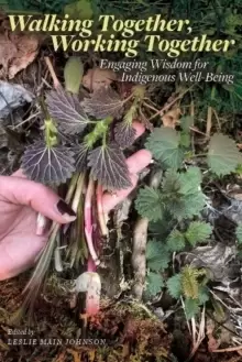 Image of Walking Together, Working Together : Engaging Wisdom for Indigenous Well-Being