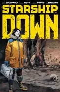 Image of starship down