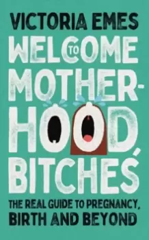 Image of Welcome to Motherhood, Bitches : The Real Guide to Pregnancy, Birth and Beyond