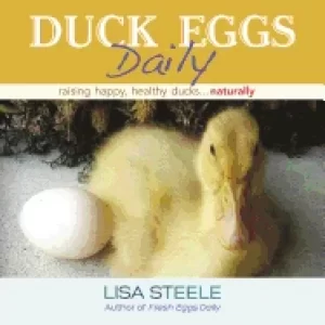 Image of duck eggs daily raising happy healthy ducksnaturally