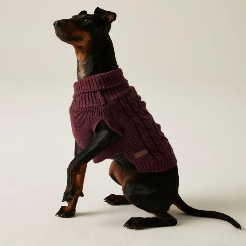 Image of Regatta Dog Jumper - Red Red M