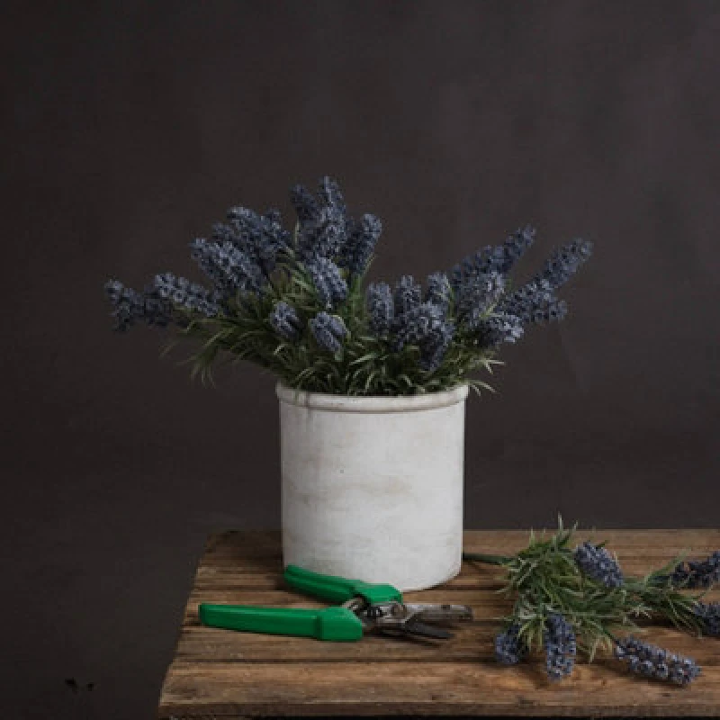 Image of Hill Interiors UK Homeliving Small Lavender Spray