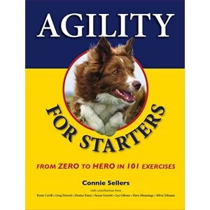 Image of Agility for Starters: From Zero to Hero in 101 Exercises by Connie Sellers (Paperback, 2016)