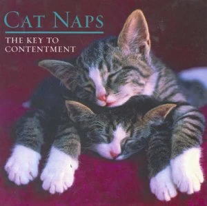 Image of Cat Naps Hardback