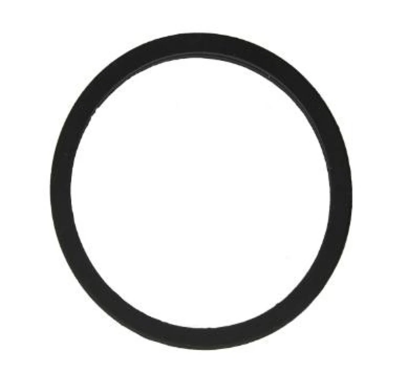 Image of LEMA Gasket, thermostat LEMA 24789.00
