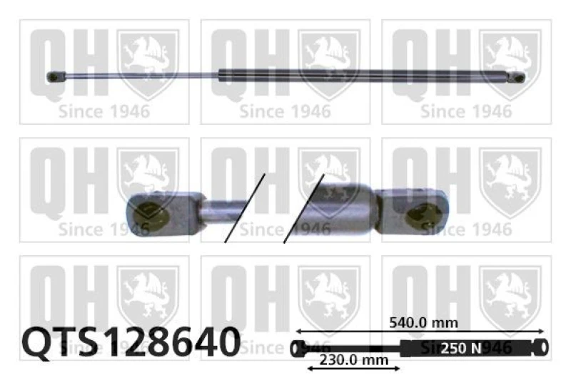 Image of QUINTON HAZELL Bonnet strut QUINTON HAZELL QTS128640